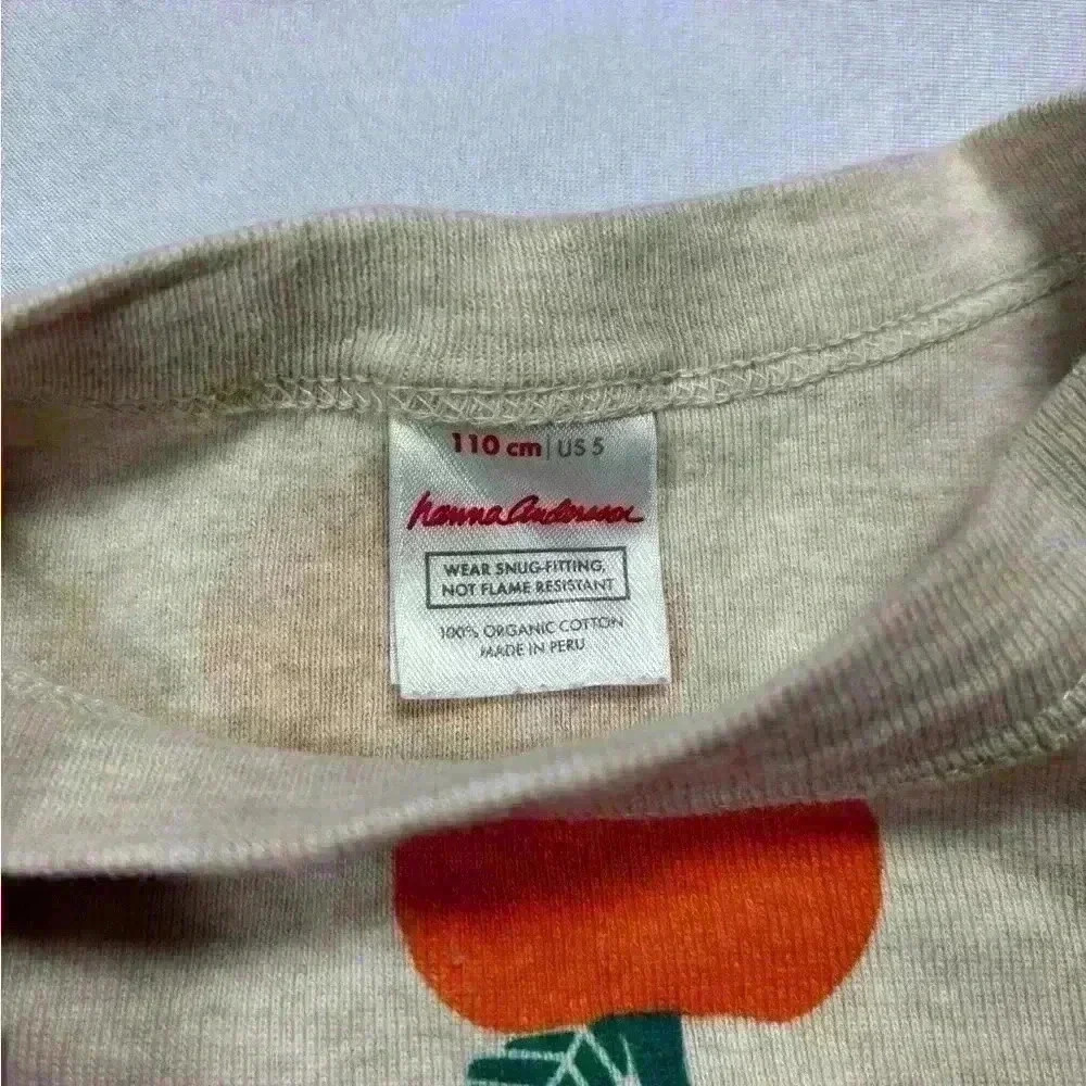 Hanna Andersson Pumpkin PJ Top - Size 5 - Picture 3 of 3